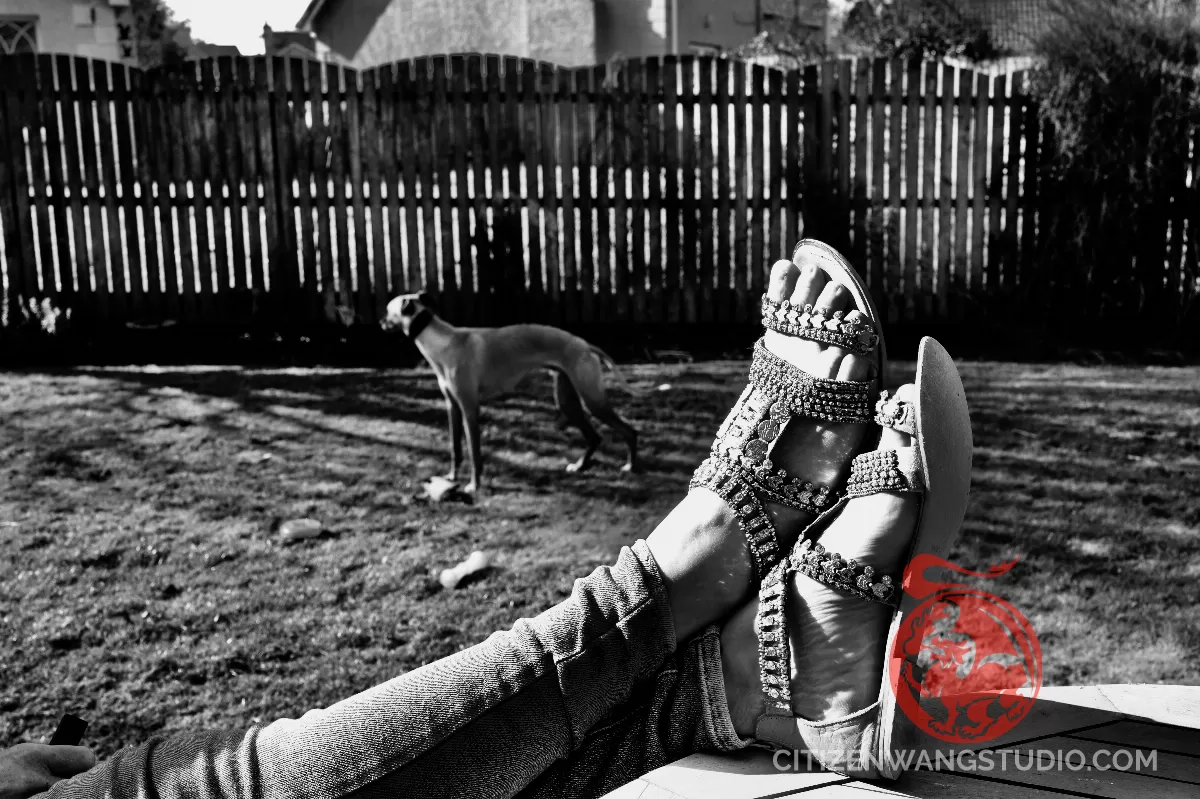 In a Ballymena Garden.JPG